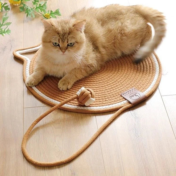 Adorable Cat Ear Shaped Scratching Board