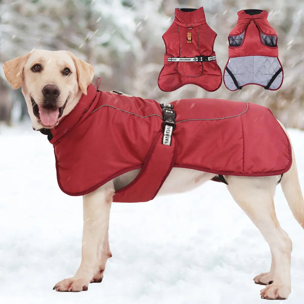 Winter Dog Jacket