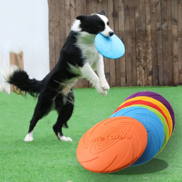 Pet Dog Flying Disk Toy