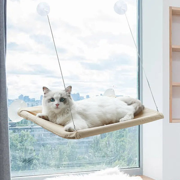 Cat Hammock Window