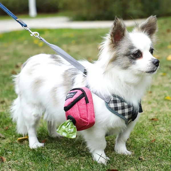 Treat Bag Outdoor