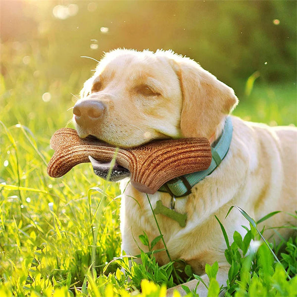 Dog Chew Toys