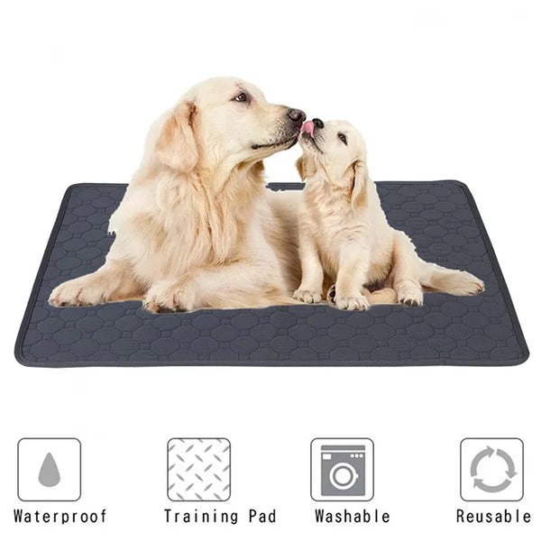 Pet cat and dog pee pad