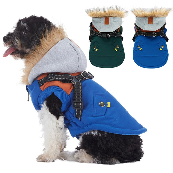 Winter Dog Coat