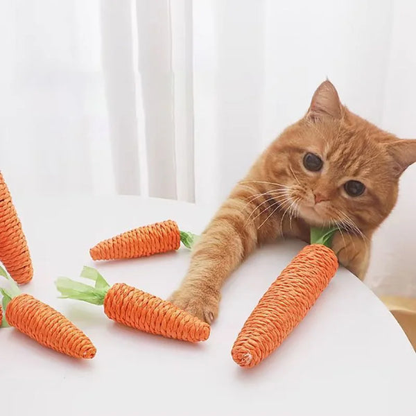 Carrot-shaped Cat Toy